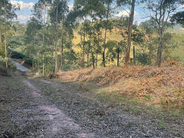 #66 - Terreno para Venda em Mairiporã - SP - 3